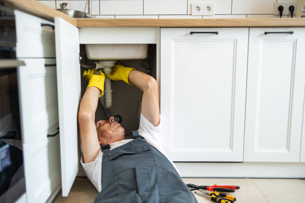 Best Septic Systems  in Chaffee, MO