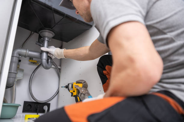 Best Plumbing Inspection Services  in Chaffee, MO